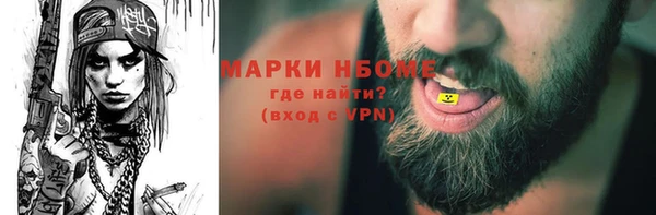 винт Ельня