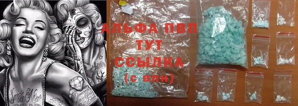 винт Ельня