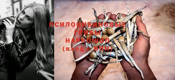 винт Покров