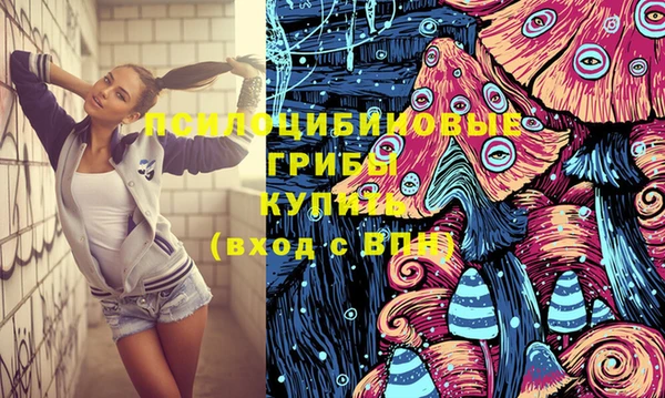 винт Ельня