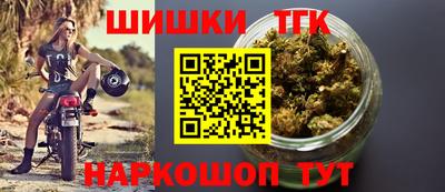 тгк Гусев