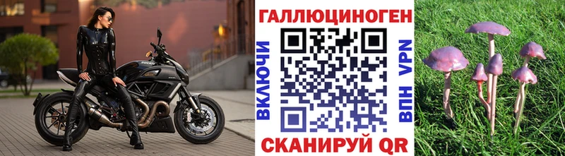 как найти закладки  Среднеуральск  Галлюциногенные грибы Cubensis 