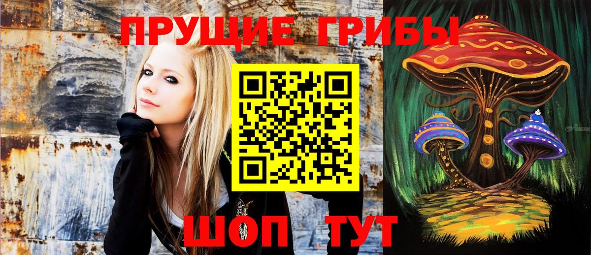Псилоцибиновые грибы мицелий Среднеуральск