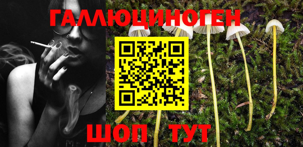 Псилоцибиновые грибы прущие грибы  где купить   Среднеуральск  Вход с VPN 
