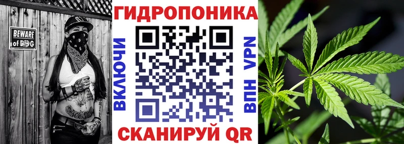 Марихуана гибрид  мориарти официальный сайт  Среднеуральск 